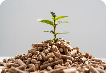 ekologiczny pellet